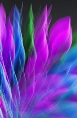 help Debet